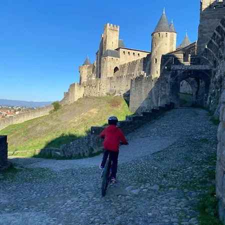 Maison Mignardise - Cite 카르카손