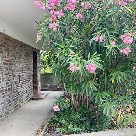 Maison Mignardise - Cite カルカソンヌ