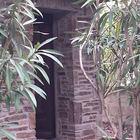 Maison Mignardise - Cite 4* カルカソンヌ