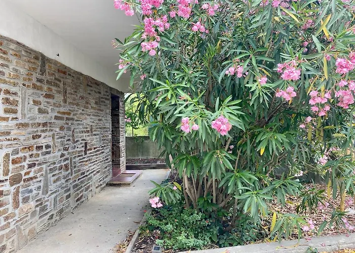 Maison Mignardise - Cite Καρκασόν